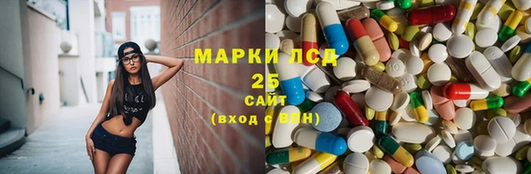 гидра Верхний Тагил