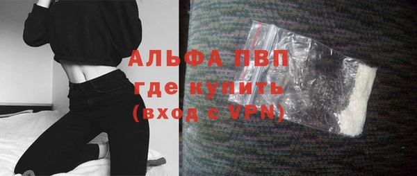 гидра Верхний Тагил