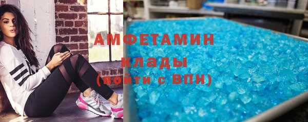 гидра Верхний Тагил