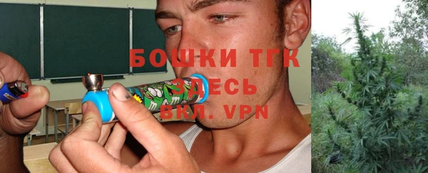 стафф Вязьма